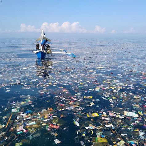 @4ocean posted on Instagram: “We were founded on the belief that business can be a force for good and that the actions of individual people, collectively, have the power…” • Aug 29, 2020 at 6:01pm UTC Water Pollution Project, Plastic In Ocean, Life Below Water, Pollution Project, Plastic In The Ocean, Plastic In The Sea, Experience Map, Saving The Earth, Ocean Cleanup