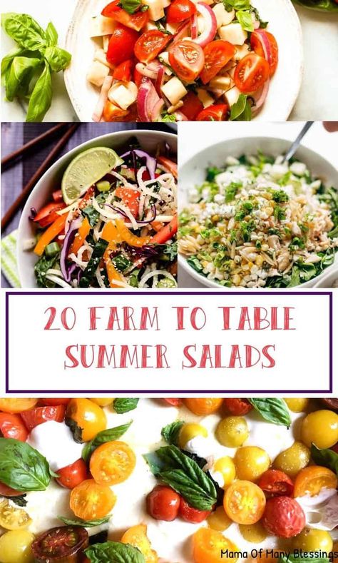 Summertime is right around the corner which means delicious fresh salads straight from the farm. You're sure to find a delicious farm to table summer salads on this list of 20 delicious and easy ideas! Farm To Table Dinner Recipes, Farm To Table Recipes Summer, Farm To Table Meals, Spring Mixed Salad Recipes, Simple Spring Mix Salad, Summer Salad Ideas, Table Meals, Homestead Food, Farm To Table Recipes