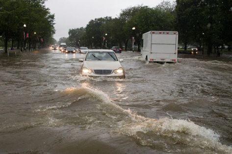 Washington Floods Expose a Double Threat: Old Drains and Climate Change - The New York Times Heavy Rainfall, Water Rescue, Flood Warning, Tropical Storm, District Of Columbia, Environmental Issues, French Quarter, Ny Times, Washington Dc