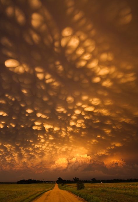 Undulatus Asperatus, Teenage Bucket Lists, Mammatus Clouds, Lenticular Clouds, Rio Carnival, One Word Art, Types Of Humor, R Image, Okinawa Japan