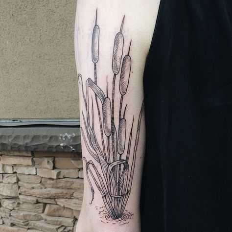 Started some cattails for @hayleyotrope today Cattail Tattoo, Pony Reinhardt, Dogwood Flower Tattoos, Botanical Tattoo Design, Tail Tattoo, Art Inspired Tattoos, Mother Nature Tattoos, Beautiful Flower Tattoos, Floral Tattoo Design