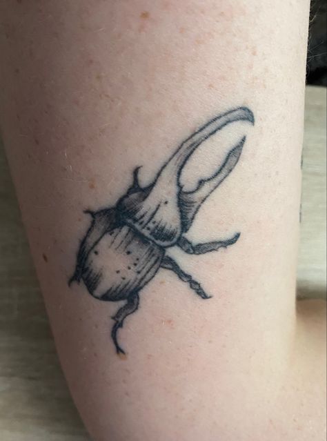 Japanese Rhinoceros Beetle Tattoo, Goliath Beetle Tattoo, Matching Bug Tattoos, Millipede Tattoo, Small Bug Tattoo, Traditional Bug Tattoo, Stag Beetle Tattoo, Grasshopper Tattoo, Beetle Tattoos