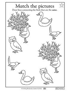 Help find pairs of birds! In this coloring worksheet, your child finds the matching pairs and draws lines to connect them. Birds Worksheets Kindergarten, Birds Activities Preschool, Bird Activities Preschool, Birds Kindergarten Activities, Migrating Animals, Bird Worksheet, Preschool Animals, February Preschool, Preschool Reading