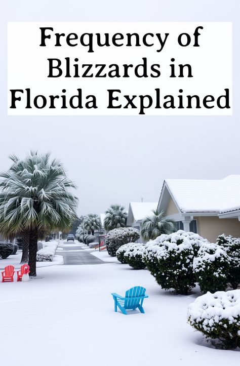 Frequency of Blizzards in Florida Explained Snowflake Photography, Ice Formations, Ice Storm, Sea Ice, Winter Landscapes, Love Winter, Snow And Ice, Sunshine State, Weather Forecast