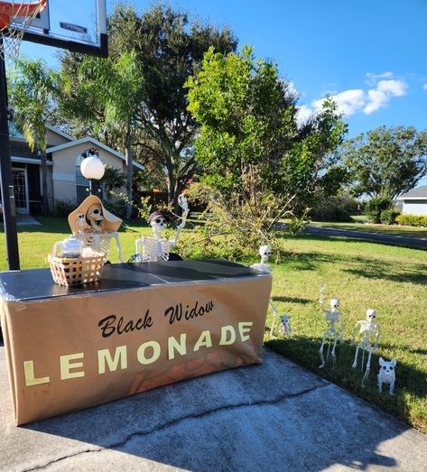 Not your ordinary lemonade from a lemonade stand.🕷🕸🍋☠️ Skeleton Lemonade Stand, Halloween Lemonade Stand, Lemonade Stand Sign, Beer Stand, Halloween 2023, Halloween Yard, Lemonade Stand, Trunk Or Treat, Black Widow