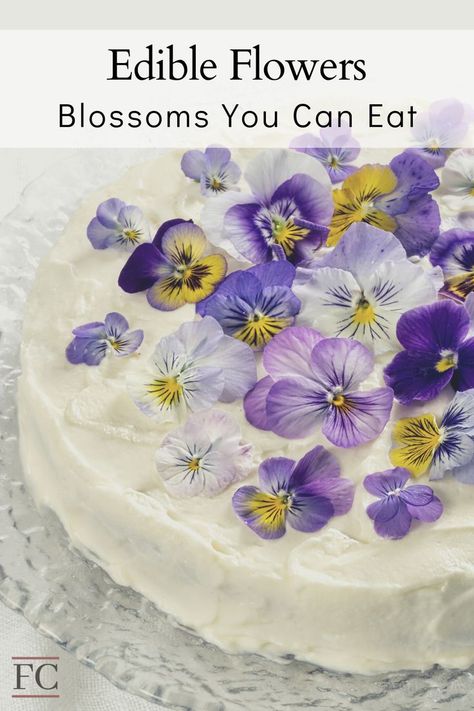 A cake with white icing and purple edible pansies on top Pansies On Cake, Using Real Flowers On Cake, Edible Flowers Cake Decorating, Edible Flowers For Cakes, Iced Flowers, Plant Presentation, Flowers Recipes, Edible Flower Garden, Plan 2023