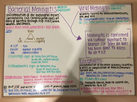 Meningitis nursing | bacterial vs viral | neuro nursing Nursing School Scholarships, Nurse Study Notes, Importance Of Time Management, Nursing Mnemonics, Nursing School Survival, Critical Care Nursing, Best Nursing Schools, Nursing School Studying, Nursing School Tips