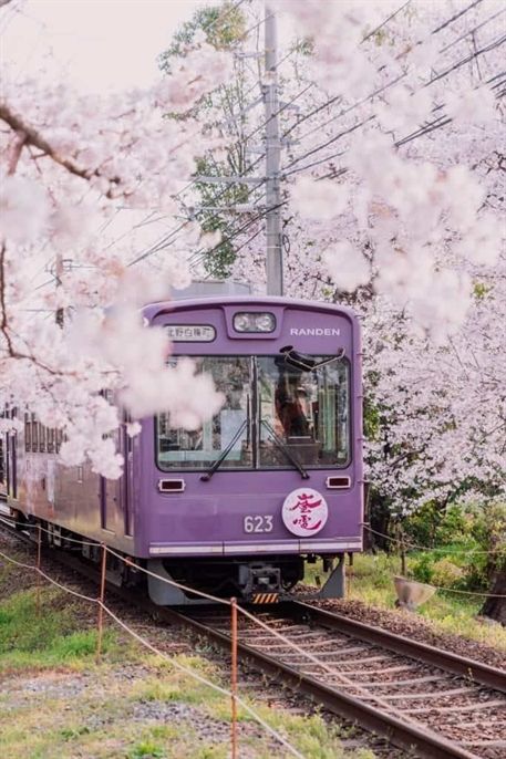 There are so many things to do in Japan it's really tough to narrow down a Japanese itinerary. Here are a few of our favorite Japan bucket list items. Japan Bucket List, Bahasa Jepun, Monte Fuji, Tokyo Japan Travel, Japan Photography, Japan Aesthetic, Aesthetic Japan, Japan Trip, Visit Japan