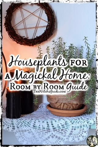 House Plants For Witches, Indoor Witch Garden, Green Witch Interior, Green Witch Aesthetic Bedroom, Green Witch Aesthetic Home Living Room, Green Witch Kitchen Aesthetic, Green Witch Living Room, Witch Bathroom Aesthetic, Green Witch Home Decor