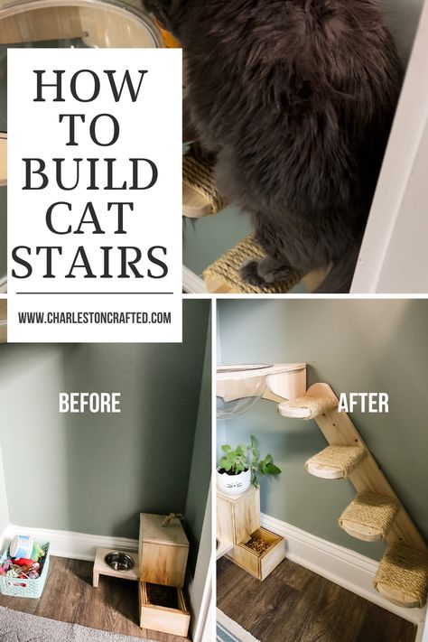 Diy Cat Wall Ideas, Cat Wall Ideas, Cat Room Diy, Diy Cat Shelves, Knick Nacks, Build Wall, Home Decor Painting Ideas, Cat Room Ideas, Cat Rooms