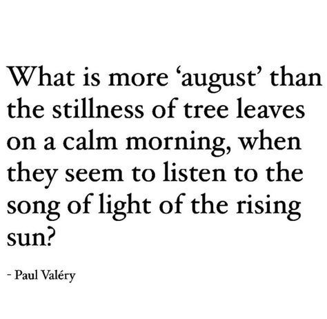 what is more august than the stillness of tree leaves on a calm morning quote words poetry Monthly Quotes, Morning Quote, Tree Leaves, Poem Quotes, Love Words, Poetry Quotes, Pretty Words, Pretty Quotes, Morning Quotes