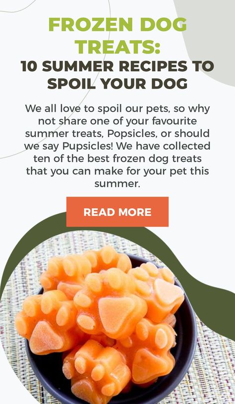 Bone Broth Recipes, Bone Broth For Dogs, Broth For Dogs, Frozen Dog Treats Homemade, Dog Cookie Recipes, Frozen Fruit Recipes, Fruits For Dogs, Dog Eats, Quinoa Sweet Potato