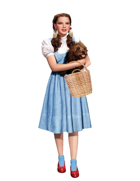 Simple Wizard Of Oz Costumes, Dorothy From Wizard Of Oz Costume, Dorothy Wizard Of Oz Costume Diy, Dorthy Wizard Of Oz Costume Makeup, Dorthy Wizard Of Oz Outfit, Easy Wizard Of Oz Costumes Diy, Dorothy Wizard Of Oz Makeup, Wizard Of Oz Outfit Ideas, Dorthy Wizard Of Oz Aesthetic