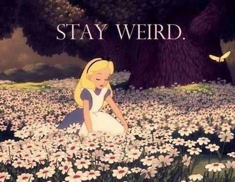 Stay Weird quotes quote cool movies cartoons weird movie alice in wonderland Alice In Wonderland Characters, Alice And Wonderland Quotes, Wonderland Quotes, Were All Mad Here, Stay Weird, Disney Alice, Lewis Carroll, Adventures In Wonderland, Through The Looking Glass