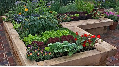 5 vegetable seeds to sow in May for the best results — according to gardening experts | Tom's Guide Patio Vegetable Garden, Garden Ides, Patio Container Gardening, Raised Flower Beds, Vegetable Garden Raised Beds, Small Vegetable Gardens, Survival Gardening, Vegetable Gardens, Children's Garden