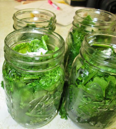 Spinach Canning Recipes, Canning Spinach, Canning Greens, Farm Tips, Canning Salt, Survival Preparedness, Canning 101, Home Canning Recipes, Canning Vegetables