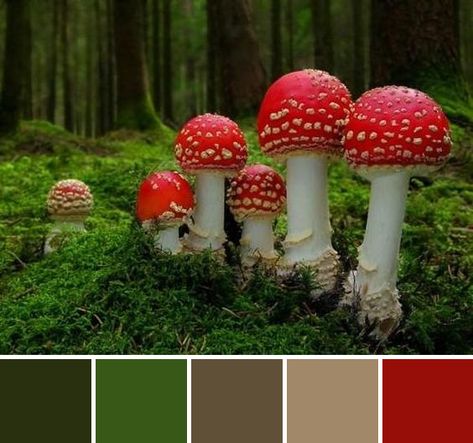 Color palette #27 Mushrooms ✱ST Fairy Aesthetic Color Palette, Mushroom Pallete, Mushroom Color Pallete, Mushroom Forest Color Palette, Color Palette Mushroom, Fungi Color Palette, Goblin Color Palette, Goblin Core Color Palette, Mushroom Mood Board