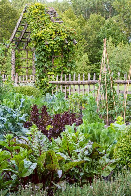 What to Know About Adding or Renovating an Edible Garden Fenced Vegetable Garden, Garden Boxes Raised, Potager Garden, Veg Garden, Edible Landscaping, Inspire Me Home Decor, Have Inspiration, Vegetable Garden Design, Traditional Landscape