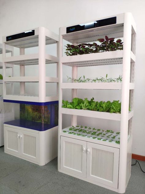 Hydroponic Home Garden, Indoor Growing System Diy, Indoor Growing Setup, Seed Growth, Indoor Garden Apartment, Home Hydroponics, Indoor Hydroponics, Indoor Vegetables, Patio Remodel