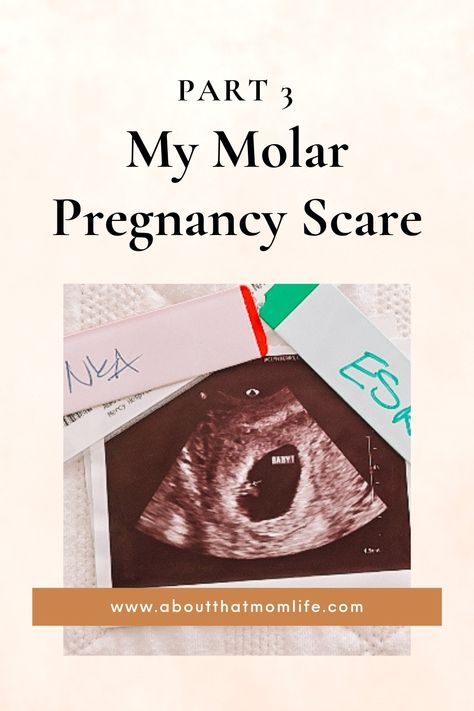 The story and timeline of my 2 month journey to rule out a partial molar pregnancy. Meant to give hope to someone going through something similar. #partialmolarpregnancy #partialmolarpregnancyscare #suspicionofamolarpregnancy #molarpregnancy Baby Maternity Photos, Molar Pregnancy, Pregnancy Ultrasound, All About Pregnancy, Give Hope, Pregnancy Journey, About Pregnancy, Birth Control, Healthy Pregnancy