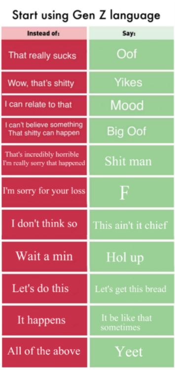 Gen Z slang - this is all EXTREMELY accurate, I hear these on a daily basis at school Slang Words, Gen Z, I Can Relate, What’s Going On, Laughing So Hard, Funny Fails, English Words, Tumblr Funny, Funny People