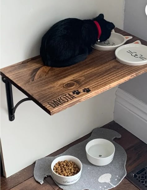 Diy Cat Feeding Perch, Cat Bowl Ideas, Katt Diy, Cat Feeding Station, Katt Grejer, Cat Shelf, Food Cat, Cat House Diy, Cat Food Bowl