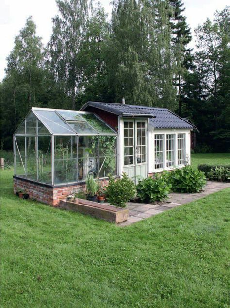 Shed Greenhouse, Pergola Diy, Greenhouse Shed, Small Greenhouse, Backyard Greenhouse, Greenhouse Ideas, Greenhouse Plans, Green Houses, Plants Growing