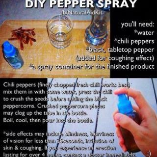 Homemade pepper spray Self Defence, Diy Gadgets, Emergency Preparedness Kit, Survival Quotes, Survival Life Hacks, Diy Sprays, Survival Shelter, Survival Equipment, Survival Techniques