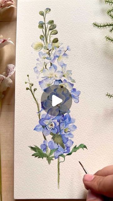 Vaibhav Tyagi on Instagram: "Larkspur Delphinium for the weekend 💙 . . . Materials used  • @derwentart_india Inktense studio pans set • @derwentart_india inktense cotton paper  . . . #floralwatercolor #botanicalart #larkspur #watercolorpainting #watercolorflorals #watercolorflowers #realisticfloralart #floralaft #floralillustration #illustration #botanicalwatercolor #botanicalillustration #botanicalpainting #realisticflowers #watercolour #watercolordaily #illustrationnow #derwent #inktense #ink #summer" How To Paint Delphiniums, Larkspur Flower Watercolor, Watercolor Delphinium, Larkspur Watercolor, Larkspur Delphinium, Xmas Flowers, Inspirational Paintings, Larkspur Flower, Derwent Inktense