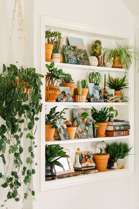 Styling a Plant Shelfie — Black & Blooms Peace Room, Shabi Chic, Guest Bedroom Office, Office Redo, Nursery Guest Room, Office Guest Bedroom, Living Vintage, Interior Work, Bedroom Black