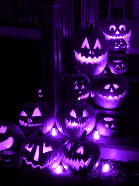 Purple Pumpkin Lights lights animated candle gif pumpkin halloween halloween pics Halloween 2007, Photo Halloween, Halloween Decor Diy, Image Halloween, Carved Pumpkins, Labu Halloween, Purple Pumpkin, Hallowen Costume, Halloween Gif