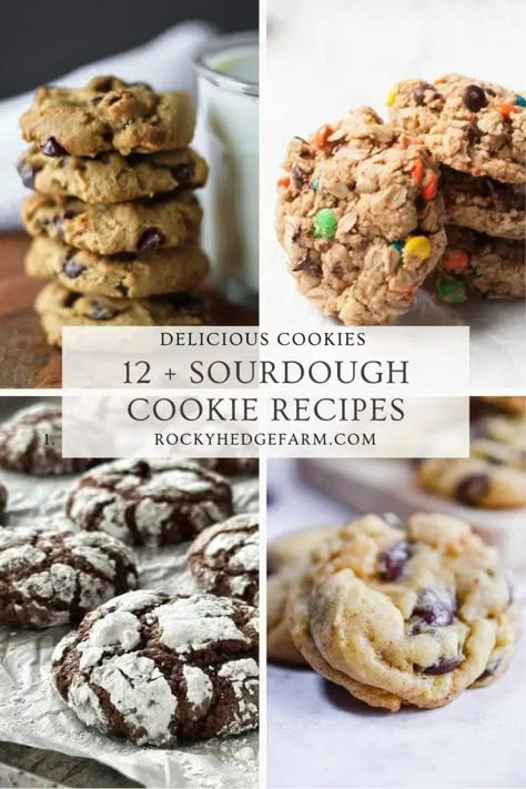 Discover the magic of sourdough beyond bread – indulge in these delicious sourdough cookie recipes. Sourdough has grown from a bread essential to a kitchen superstar because of its tangy charm and versatility. From chewy chocolate chip cookies to snickerdoodles, these recipes showcase the sweet side of sourdough. Sourdough Desserts, Sourdough Cookies, Sourdough Starter Discard Recipes, Starter Discard Recipes, Everything Sourdough, Using Sourdough Starter, Recipe Using Sourdough Starter, Sourdough Starter Recipes, Sourdough Recipe