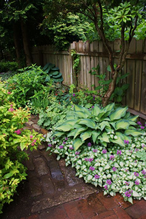 Shade Garden Design, Funny Vine, Shade Garden Plants, Brick Path, Have Inspiration, The Secret Garden, Woodland Garden, Shade Plants, Garden Cottage