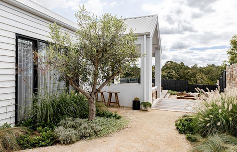 Farm Exterior, Olive Trees Landscape, Melbourne House, Interior Design Photos, Garden Architecture, Countryside House, Outdoor Entertaining Area, Garden Tours, Garden Bed