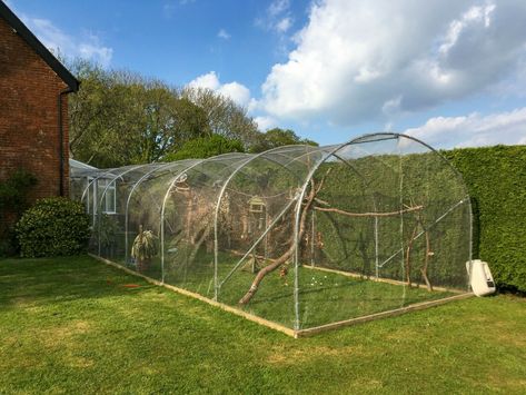 Bird Aviary Mesh | Bird Aviary Enclosure | Stainless Steel 15m | eBay Aviary Ideas, Animal Enclosures, Bird Aviary, Knitted Wire, Satellite Dish, Zoo Animal, Animal Sanctuary, Bird Cages, Wire Mesh