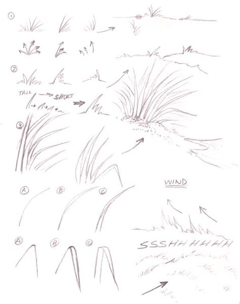 Landscape Drawing Tutorial, Grass Drawing, Nature Sketch, Tree Sketches, Landscape Sketch, Plant Drawing, Nature Drawing, Art Diary, Landscape Drawings