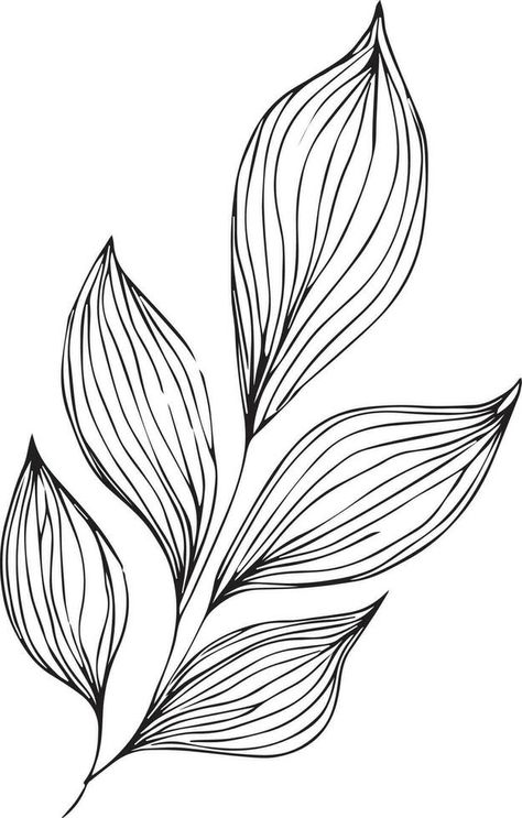 botanical vector illustration coloring page, simplicity, Embellishment, monochrome, vector art, Outline print with botanica leaf of branch, botanical leaves, and buds, minimalis botanical tattoos. Outline Leaves, Leaves Outline, Leaf Vector Illustration, Outline Flowers, Easy Tattoos To Draw, Easy Tattoos, Botanical Tattoos, Botanical Vector, Art Outline