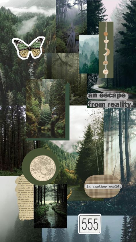 Explorer Aesthetic Wallpaper, Granola Wallpaper, Earth Collage, Explorer Archetype, Cabin Wallpaper, Environmental Posters, Dark Naturalism, Dark Forest Aesthetic, Boho Tattoos