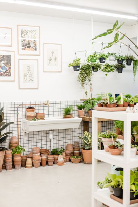 Tiled walls and exposed copper plumbing: Leaf is a houseplant laboratory. Flower Shop Interiors, Plant Book, Fiddle Leaf Fig Tree, Plant Shop, Flower Store, Florist Shop, Tree Shop, Plant Aesthetic, Fiddle Leaf Fig