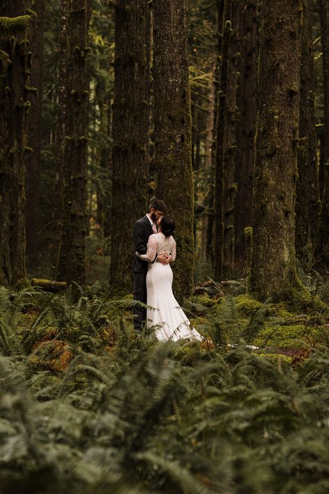 Olympia National Park, 2023 Elopement, Forest Wedding Photography, Dream Elopement, Twilight Wedding, Washington Coast, Forest Theme Wedding, Forest Elopement, Yosemite Wedding