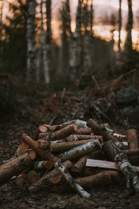 Oil Wallpaper, Wood Piles, Autumn Cabin, November Mood, Dystopian Aesthetic, The Woods, Wallpaper Winter, Travel Vibes, Image Vintage