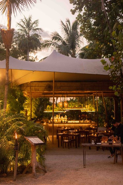 NÜ TULUM, Tulum Beach - Menu, Prices, Restaurant Reviews & Reservations - Tripadvisor Restaurants In Tulum, Tulum Jungle, Gourmet Magazine, Tulum Wedding, Tulum Beach, Modern Mexican, Michelin Guide, Yucatan Mexico, Yucatan Peninsula