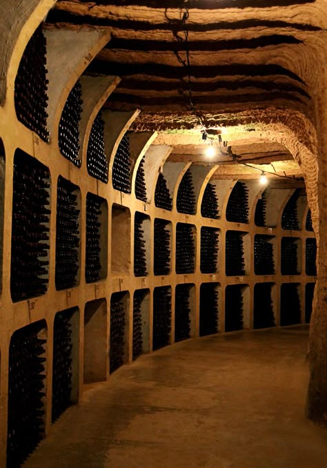 Medieval Wine Cellar, Underground Wine Cave, Vinery Design, Wine Yard, Wine Grotto, Wine Cave, Home Wine Cellars, Wine Cellar Design, Cellar Design