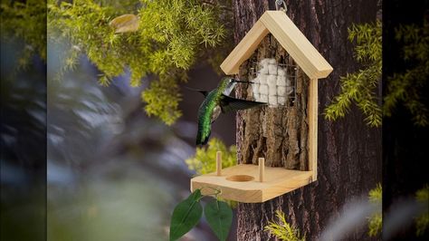 Hummingbird Nesting House, Humming Bird Nests, Hummingbird House Austin, Wooden Hummingbird House, Hummingbird Nesting Material, Budgie Nest Box, Bird Nesting Material, Bird Nesting Box, Hummingbird Nests