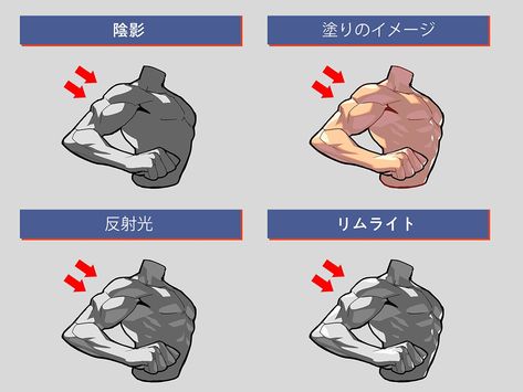 Shading Tips, Shading Drawing, Life Drawing Reference, Anatomy Tutorial, Shading Techniques, Body Reference Drawing, Drawing Studies, Shadow Art, Art Folder