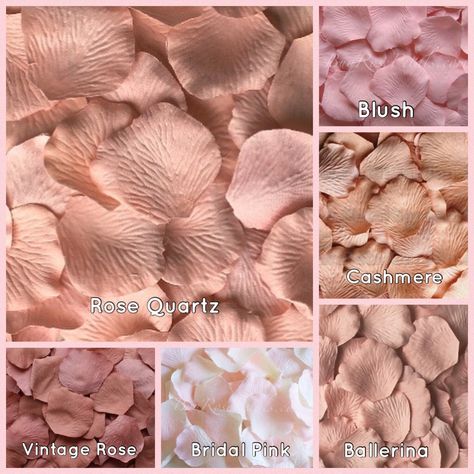 Color Vocabulary, Fake Rose Petals, Pink Rose Petals, Flower Girl Petals, Color Knowledge, Colour Themes, Silk Rose Petals, Color Mixing Chart, Unique Colours