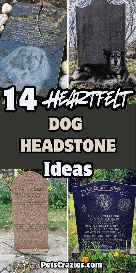 Discover 14 heartfelt dog headstone ideas to honor your loyal companion. From unique engravings to meaningful memorials, find inspiration to create a lasting tribute for your beloved pet.
(See all ideas on our blog)
#DogHeadStoneIdeas Pet Headstone Quotes, Pet Tombstone Ideas, Headstone Quotes, Dog Memorial Ideas, Dog Headstone, Headstone Ideas, Pet Headstones, All Ideas, Memorial Ideas