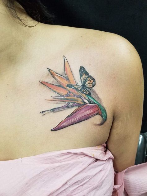 Butterfly with bird of paradise Tropical Butterfly Tattoo, Bird Of Paradise Tattoo, Tropical Butterfly, Paradise Tattoo, Bird Of Paradise, Birds Of Paradise, Butterfly Tattoo, Realism, Watercolor Tattoo