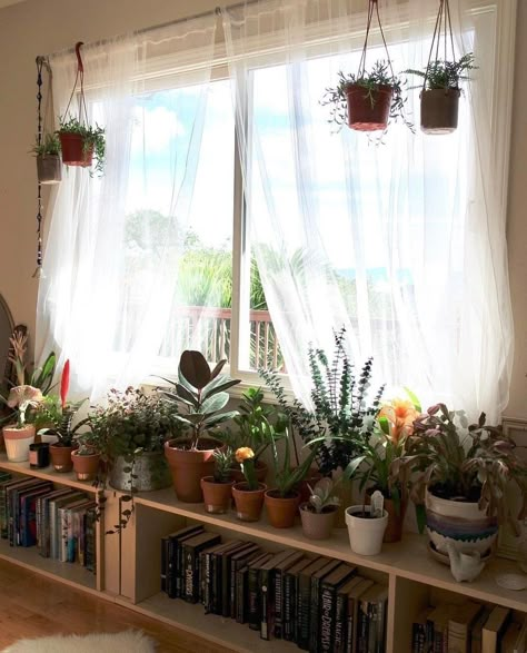 Small Wall Space Ideas, Plant Table By Window, Under Window Plant Stand, Plant Bench Indoor Window, Below Window Decor, Plant Shelf Under Window, Plant Table In Front Of Window, Window Bench For Plants, Plant Stand In Front Of Window