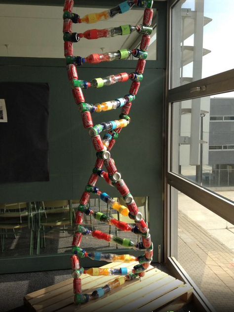 DNA model project Creative Dna Model Project, Dna Model Project Ideas Biology, Dna Model Project Ideas, Dna Structure Model, Dna Replication Model, Science Balloons, Model Dna, Dna Model Project, Dna Project